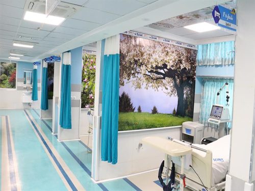 بیمارستان شهید بهشتی شیراز توانست در بخش بستری رتبه نخست خدمت رسانی به مراجعین را در کشور کسب کند.