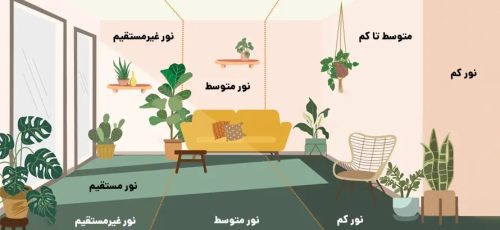 ۱۴ گیاه آپارتمانی که عاشق پنجره خانه شما هستند