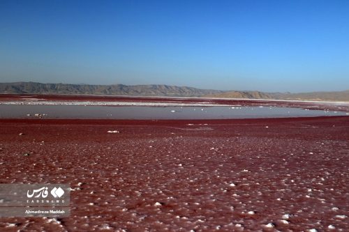 عکس های زیبای دریاچه مهارلو در شیراز 10