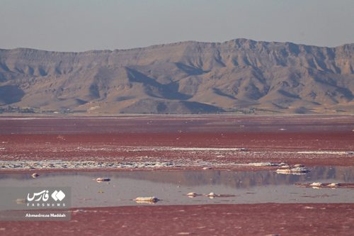 عکس های زیبای دریاچه مهارلو در شیراز 15