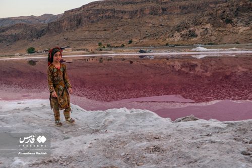 عکس های زیبای دریاچه مهارلو در شیراز 18