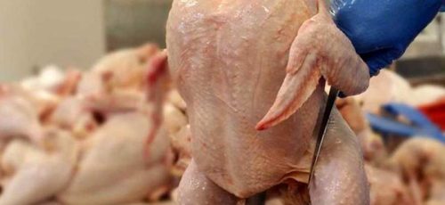 قیمت مرغ در استان فارس بسیار بالاتر از قیمت مصوب/ بازار مسوول دارد؟