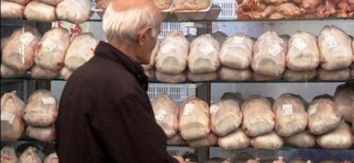 یک فروشگاه تعاونی در شیراز بخاطر مرغ نقره داغ شد