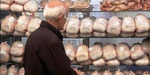 یک فروشگاه تعاونی در شهر شیراز بخاطر مرغ نقره داغ شد
