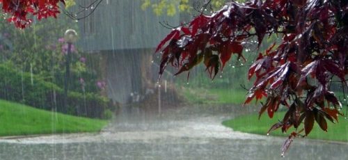 خبر خوش هواشناسی از وقوع بارش های بیش از حد نرمال در پاییز امسال