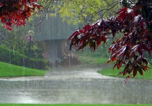 پیش‌بینی بارش‌های پاییزی بیش از حد نرمال در کشور