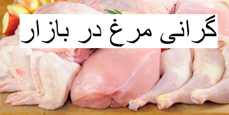 فروش مرغ بالاتر از نرخ مصوب و ضعف نظارت بر بازار در استان فارس/امتناع رئیس جهاد کشاورزی از پاسخگویی