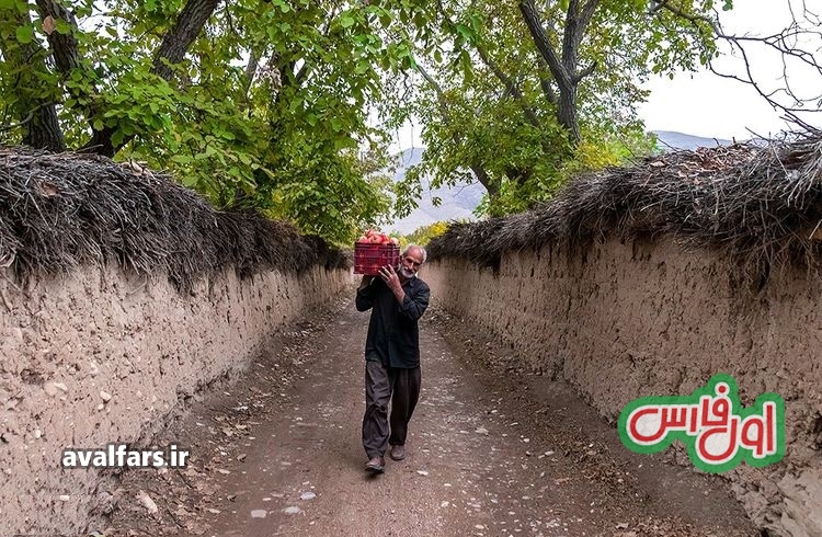 شرط جدید برای دادن نهاده‌های کشاورزی به باغ ها در استان فارس که باغداران باید بدانند