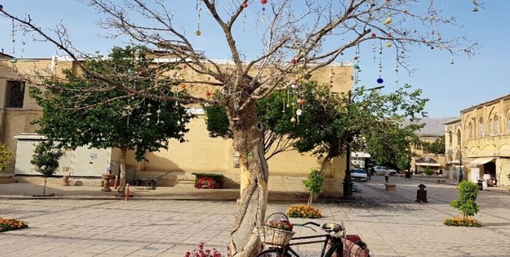 شکست مدیریت شهری شیراز با تغییر نام آزادی و قطع ۱ درخت در باور مردم
