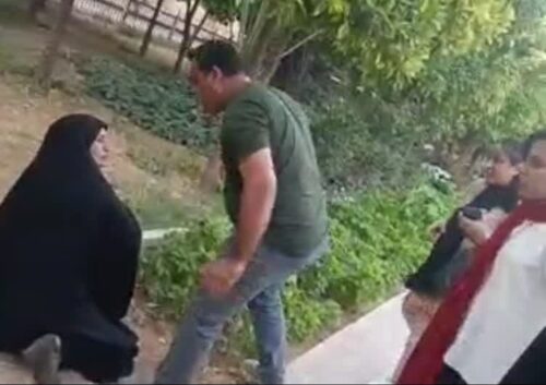 عامل ضرب و جرح زن آمر به معروف در باغ نارنجستان شیراز