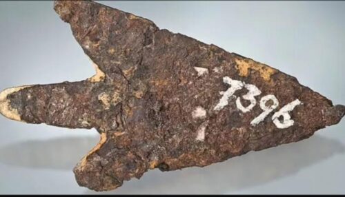 کشف سلاح ۳ هزار ساله ساخته شده از «آلومینیوم فضایی»