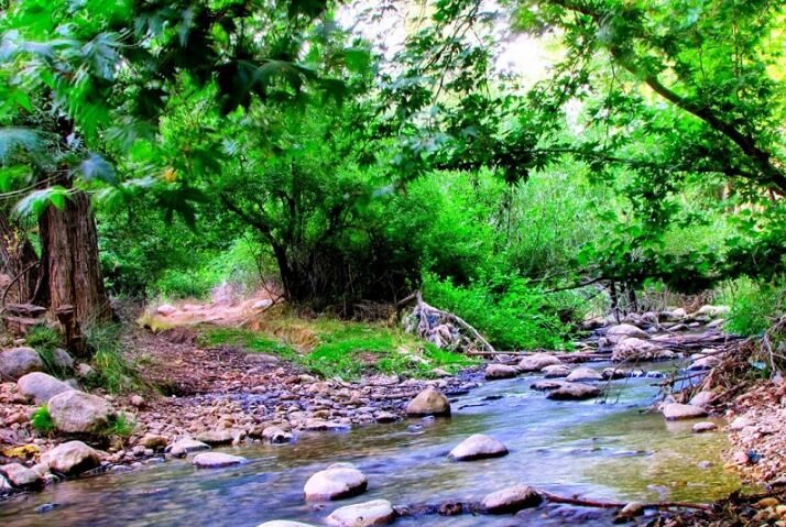 طبیعت زیبای «بهرغان» پذیرای گردشگران تابستانی استان فارس