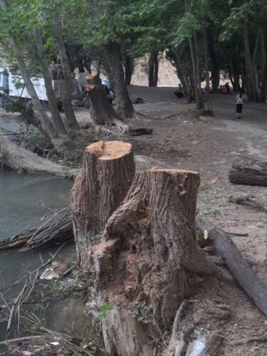 خودروی حامل هیزم درختان جنگلی قاچاق در حاشیه رودخانه رودبال شهرستان سپیدان توقیف شد.