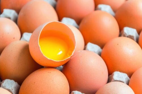 سالم بودن تخم مرغ