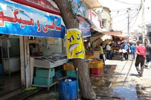 ماهی فروشان و دستفروشان از دروازه کازرون به گلکوب شیراز می روند ؟