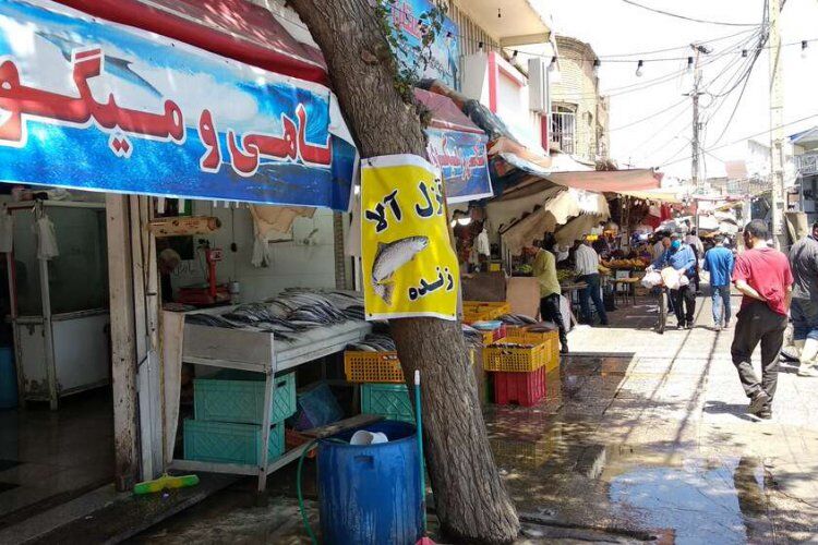 ماهی فروشان و دستفروشان شیراز از دروازه کازرون به گلکوب می روند ؟
