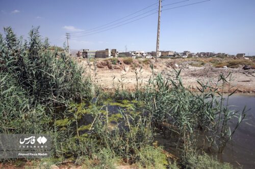 بلایی که آب‌های آلوده سَر این روستای شیراز آورده اند +تصاویر