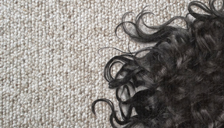 ۱۰ روش آسان و عملی برای جمع کردن مو از روی فرش و موکت