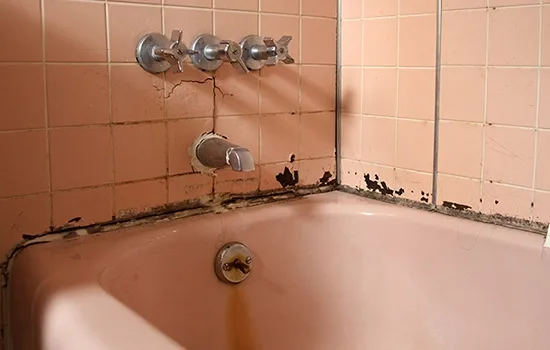 ۸ روش کاربردی و موثر برای راحت شدن از شر کپک حمام