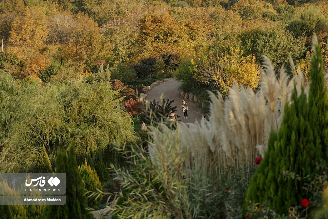 ۲۶ عکس از حال و هوای پاییزی باغ گلها در شیراز