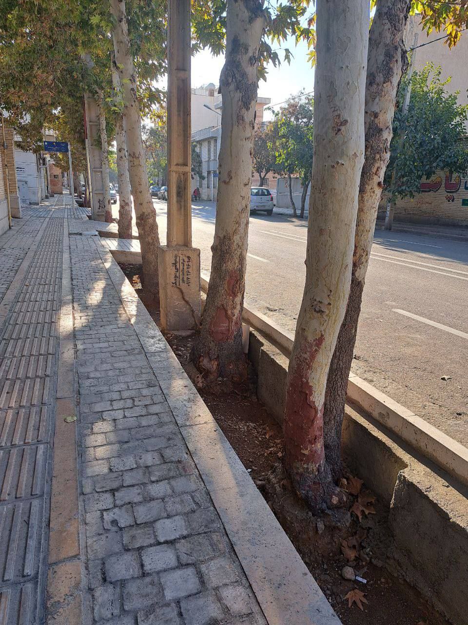 تصاویر اسفناک قبل و بعد از احداث پیاده‌رو در یکی از خیابان‌های شیراز