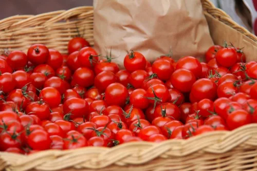 افزایش قیمت گوجه فرنگی در میادین میوه وتره