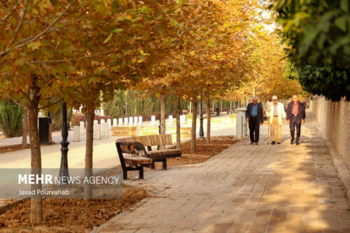 پاییز شیراز 11