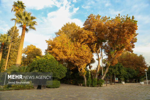پاییز شیراز 12