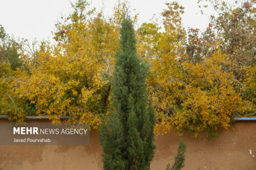 پاییز شیراز 2