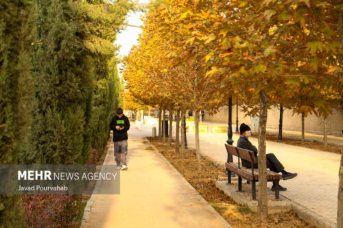 پاییز شیراز 20