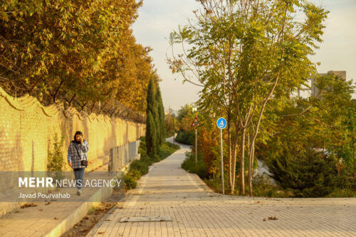 پاییز شیراز 6