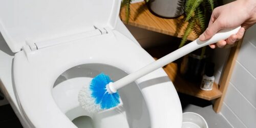 چگونه توالت را به روش صحیح تمیز کنیم