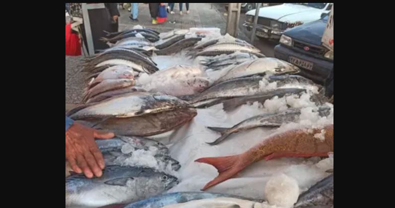 هر کاری می کنند ماهی فروشان از دروازه کازرون به بازار جدید شیراز نمی روند