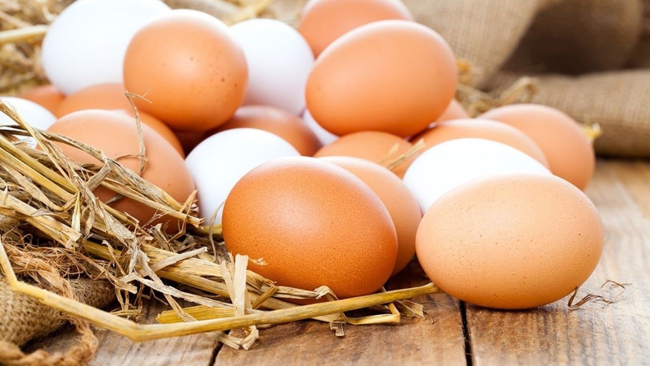 با ۵ تکنیک ناب تخم مرغ سالم را از فاسد تشخیص دهید