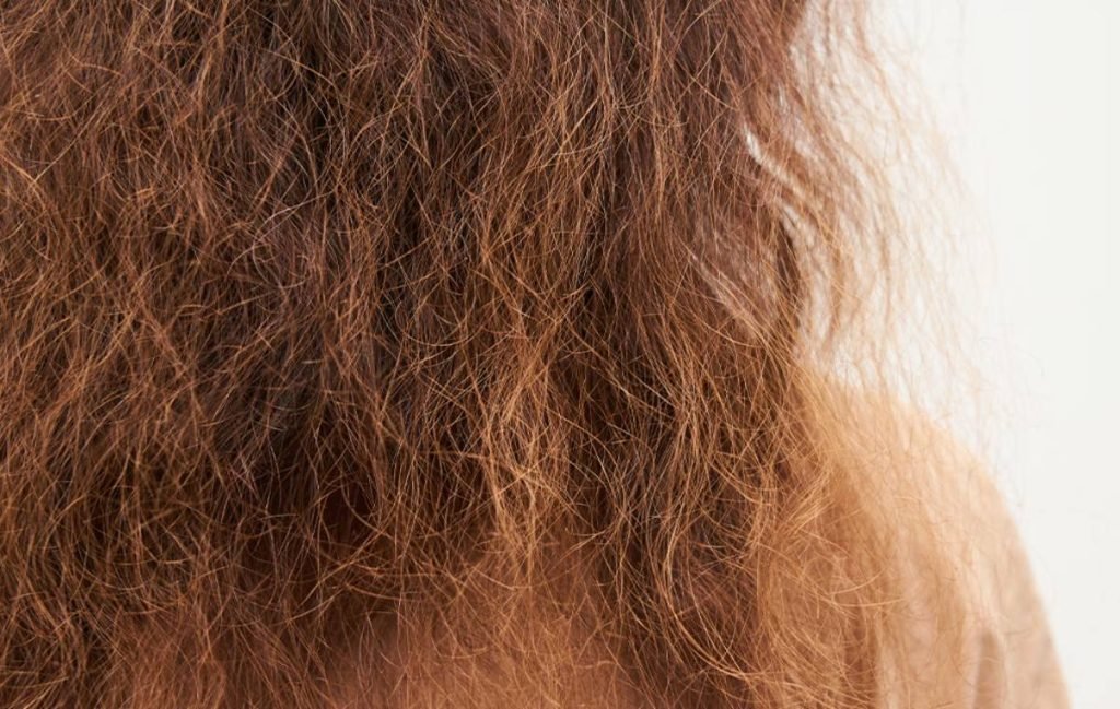 ۱۲ نکته‌ی کاربردی درمان وز شدن مو در خانه که آرایشگرها نمی گویند