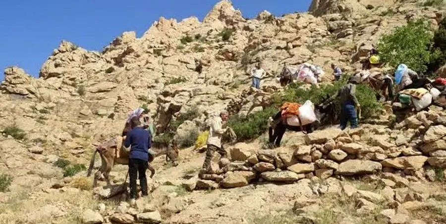 خشکسالی مراتع استان فارس را نابود و عشایر را بدبخت تر کرد/کوچ نشینی با ۱۰۰۰ دردسر