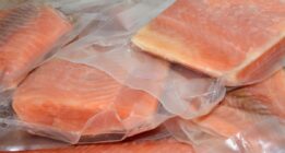 روش‌ها و نکات مهم در مورد نگهداری ماهی در یخچال و فریزر