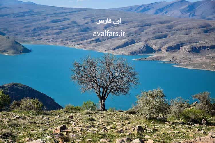 استان فارس از وضعیت بحرانی کم آبی در رفت / سد درود زن در آستانه پر شدن/سامانه بارشی جدیدی در راه است