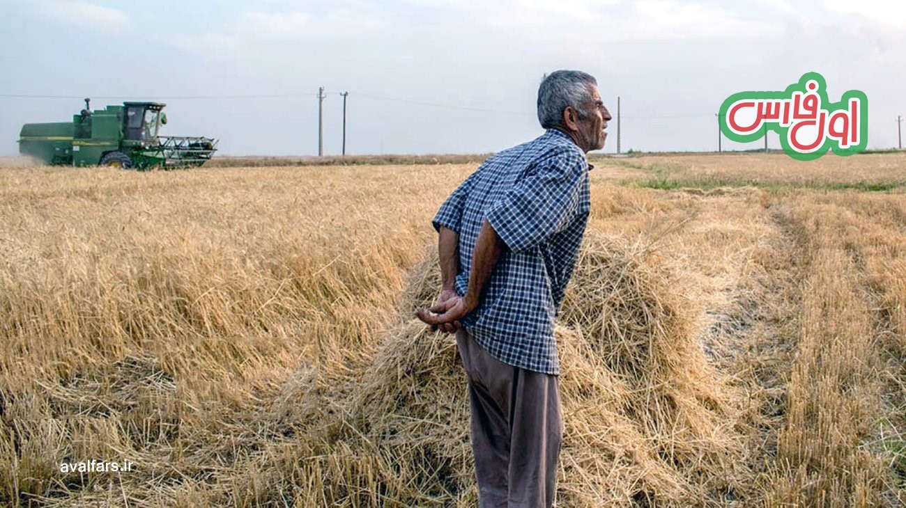 واکنش تُند کشاورزان به نرخ مصوب هر کیلو گندم که فعلا جایزه هم ندارد