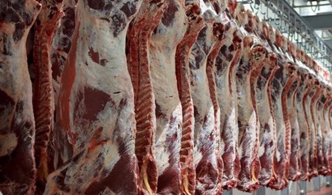 ۵۰۰ تن گوشت قرمز با نرخ دولتی در بوشهر توزیع می شود
