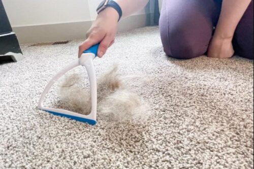 جمع کردن مو از روی فرش و موکت