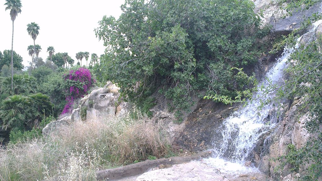 ویدئو | چشمه زیبای و دیدنی کورسا در شهرستان کهگیلویه