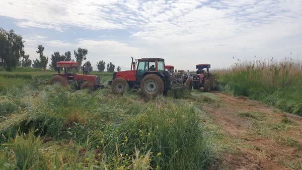 خبر جدید از نابودی برخی مزارع فاضلابی در شرق شیراز / آبیاری با فاضلاب همچنان ادامه دارد؟