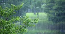 هوای کدام استان‌ها تا شنبه ۸ اردیبهشت بارانی است؟
