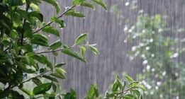 هشدار شرکت مدیریت منابع آب به مردم در خصوص بارندگی های بهاری