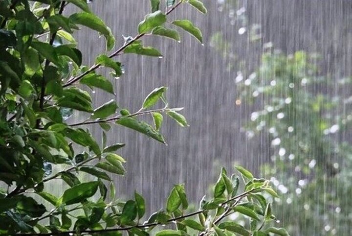 هشدار شرکت مدیریت منابع آب به مردم در خصوص بارندگی های بهاری