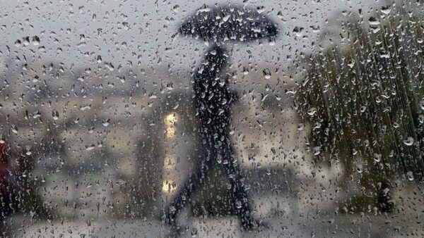 باران در شیراز 6