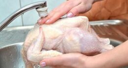 ۱۳ اشتباه خانم‌ها هنگام پختن مرغ که روح شان خبر ندارد