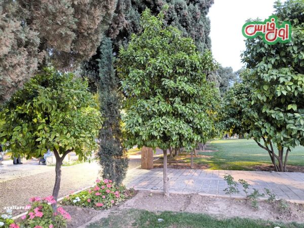 شیراز باغ جهان نما 23