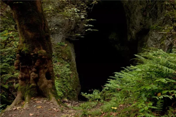 غار آویشو 1